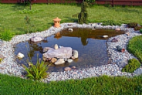 9 Cheap and Trendy Landscaping Ideas