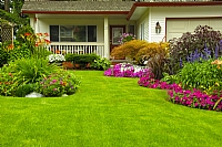 Types of Grass for your Landscape Project