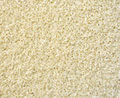 Carpet texture