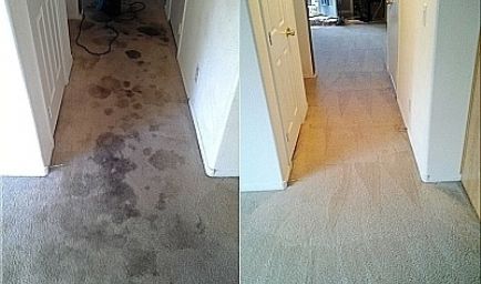 R & R Carpet Cleaning 