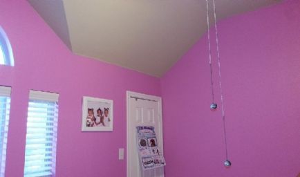 Snp Painting and Remodeling
