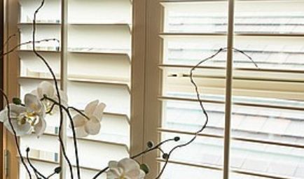 Expressions in Window Fashions