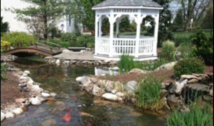 Fitz's Fish Ponds - Fish Pond Maintenance NJ, NY & Pennsylvania