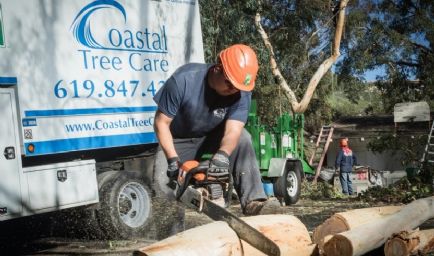 Coastal Tree Care