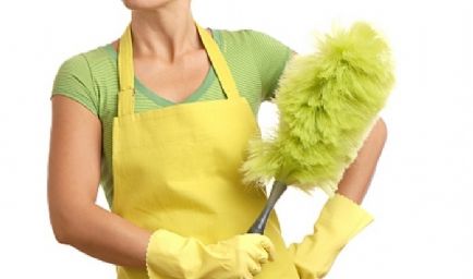 Aspens Residential & Commercial Cleaning Service, L.L.C