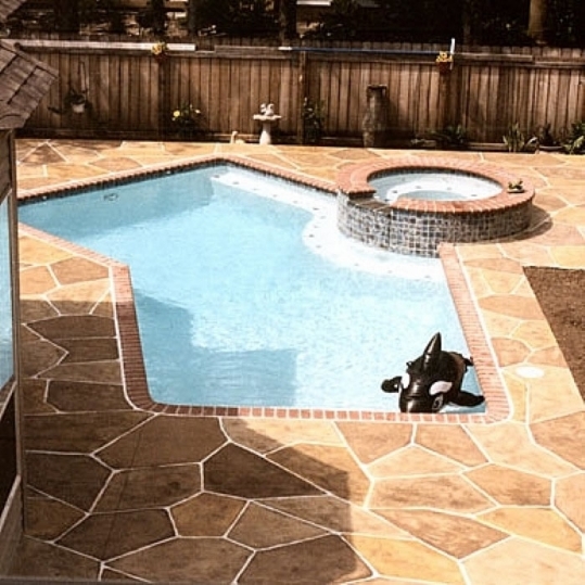 Swimming pool with concrete patio
