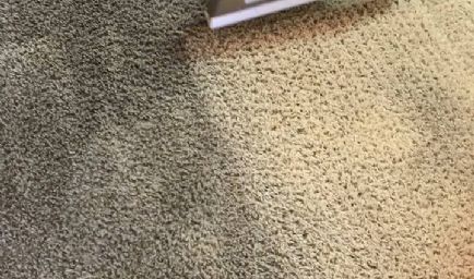 Suds Up Carpet Cleaning