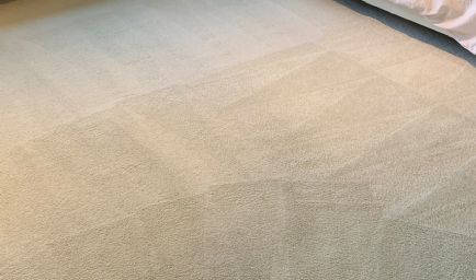 Feet Up Carpet Cleaning Pompano Beach