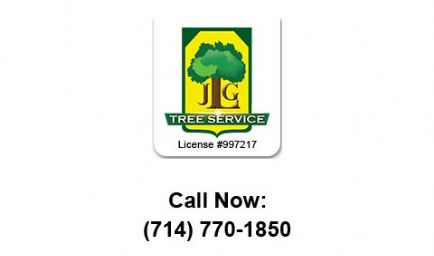 JLG Tree Service