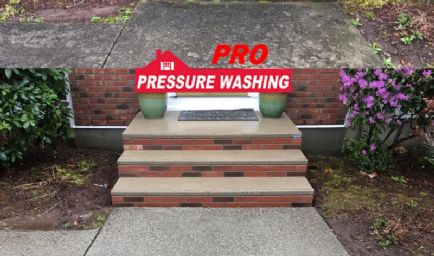 Pro Pressure Washing