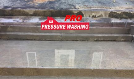 Pro Pressure Washing