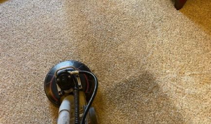 AVS Carpet Cleaning