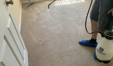 Dan Dan The Carpet Man - Carpet Cleaning Tampa