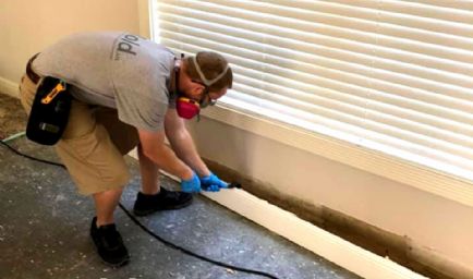 iMold US Water Damage & Mold Removal Service Cape Coral