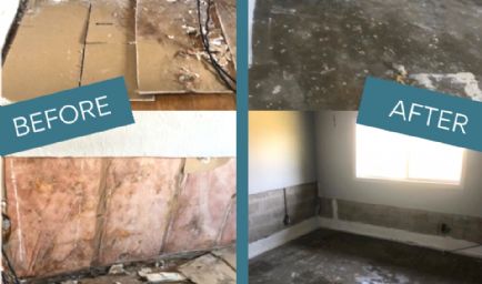 iMold US Water Damage & Mold Removal Service Cape Coral